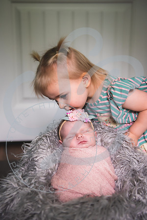 Hattie - NB_083023_0043