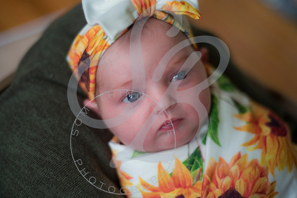 Lyla - Newborn_071325_0068