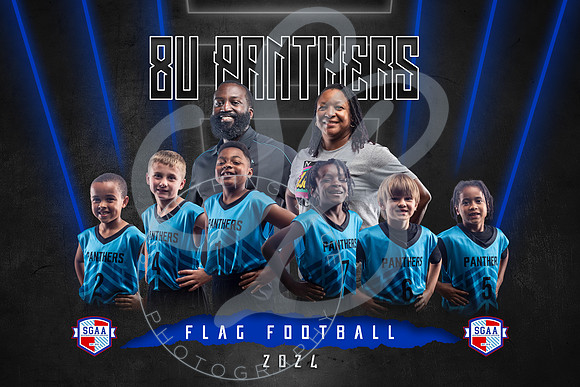 8U Panthers (1)