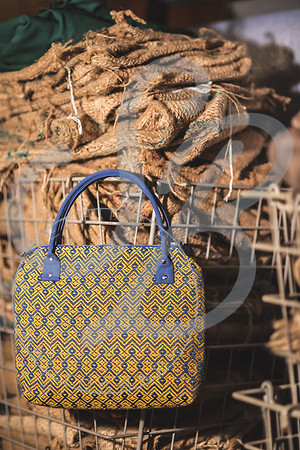 Barbara - Branding_082923_0557