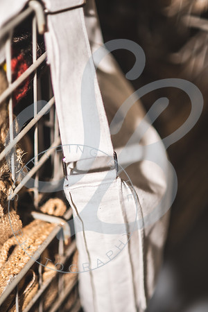 Barbara - Branding_082923_0568