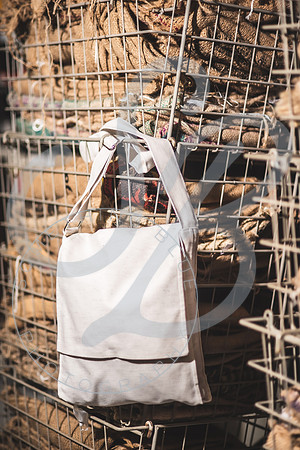 Barbara - Branding_082923_0564