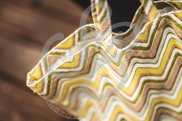 Barbara - Branding_082923_0835