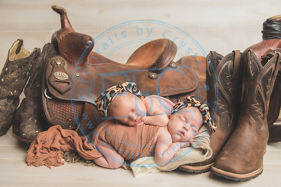 Whitfield twins - newborn_052821_0037