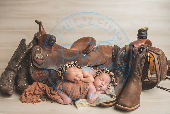 Whitfield twins - newborn_052821_0039