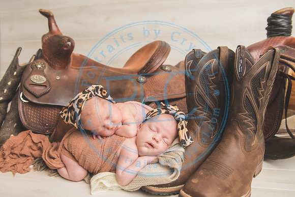 Whitfield twins - newborn_052821_0045