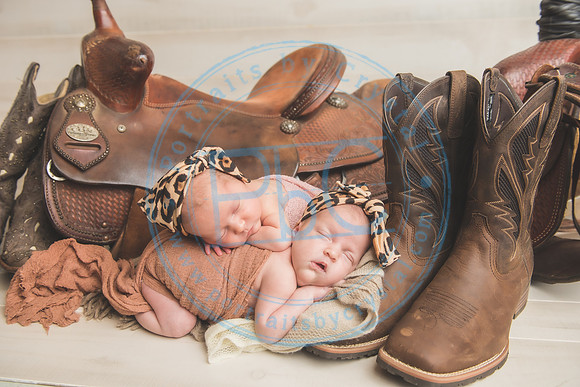 Whitfield twins - newborn_052821_0042