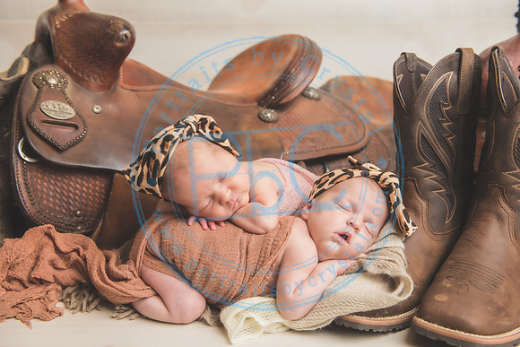 Whitfield twins - newborn_052821_0046