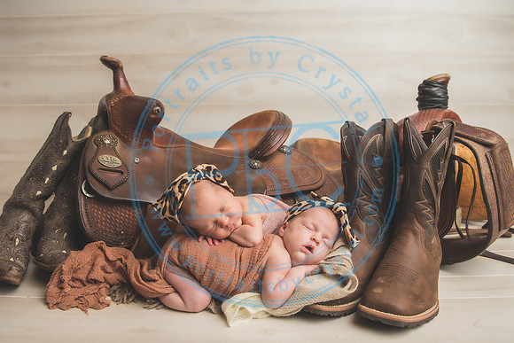 Whitfield twins - newborn_052821_0050