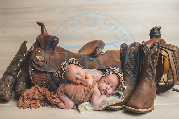Whitfield twins - newborn_052821_0053