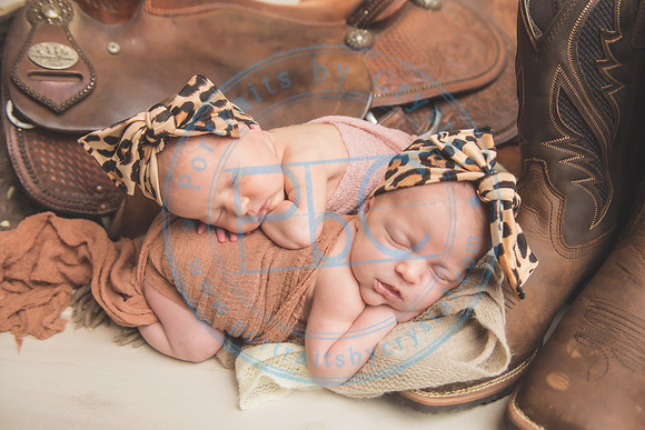 Whitfield twins - newborn_052821_0065
