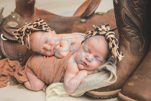 Whitfield twins - newborn_052821_0066