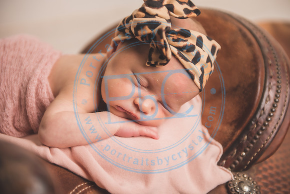 Whitfield twins - newborn_052821_0008