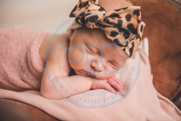 Whitfield twins - newborn_052821_0009