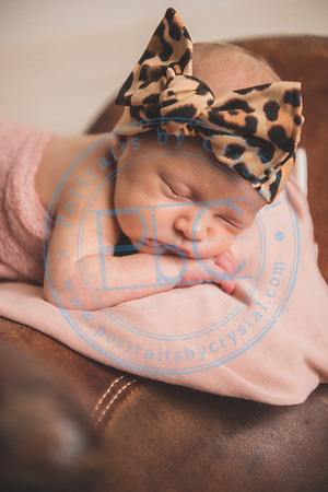 Whitfield twins - newborn_052821_0010
