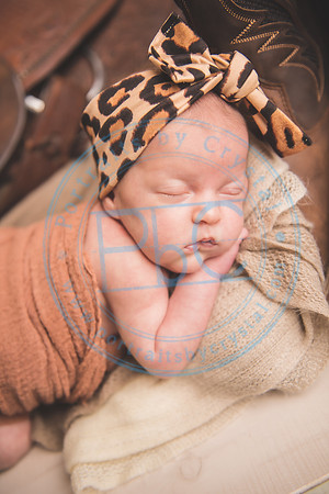Whitfield twins - newborn_052821_0015