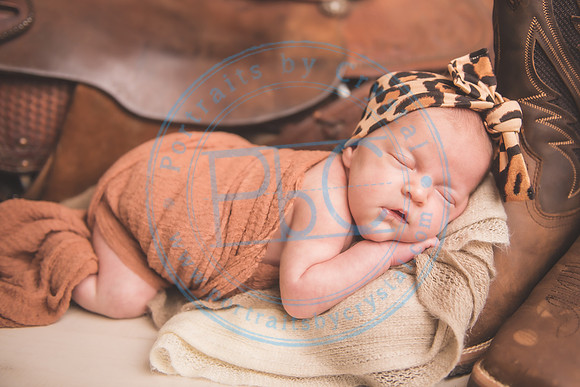 Whitfield twins - newborn_052821_0017