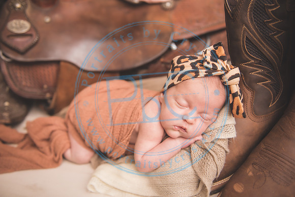 Whitfield twins - newborn_052821_0021