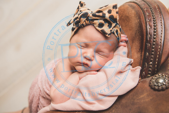 Whitfield twins - newborn_052821_0025