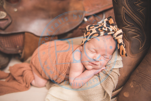 Whitfield twins - newborn_052821_0019