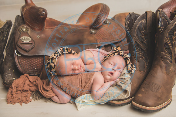 Whitfield twins - newborn_052821_0032