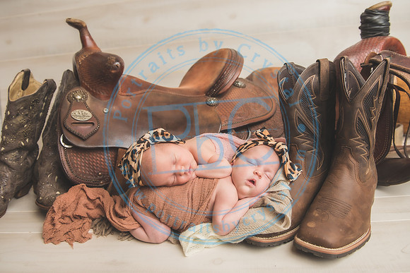 Whitfield twins - newborn_052821_0034