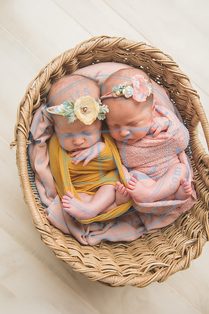 Whitfield twins - newborn_052821_0116
