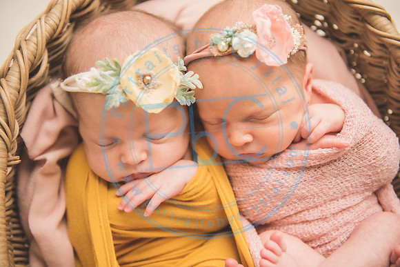 Whitfield twins - newborn_052821_0122