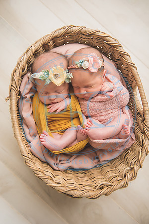 Whitfield twins - newborn_052821_0118