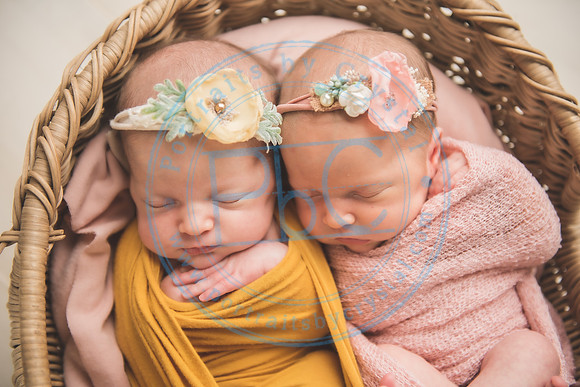 Whitfield twins - newborn_052821_0124
