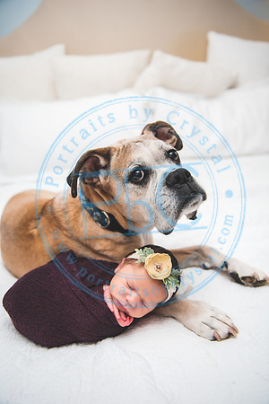 Lydia - Newborn_060421_0182