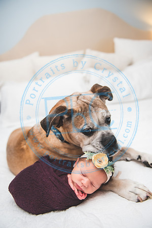 Lydia - Newborn_060421_0185