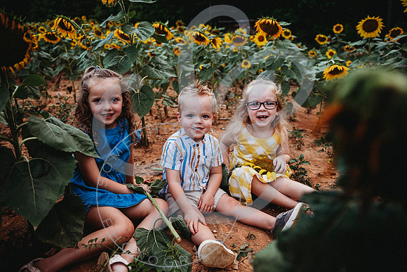 Sunflower Minis - Sherri_071422_0106