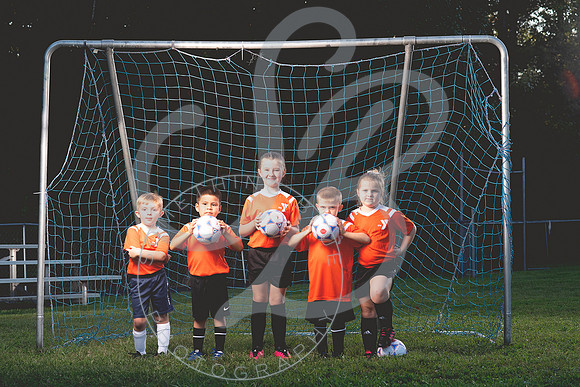 Wildcats_composite