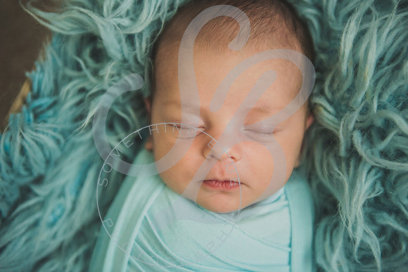 Crue - Newborn_083121_0218