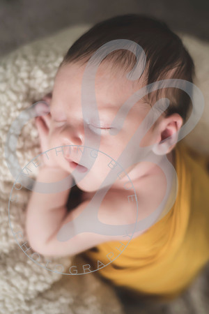 Maverick - Newborn_012122_0081