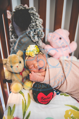 Rachel - Newborn_070521_0384
