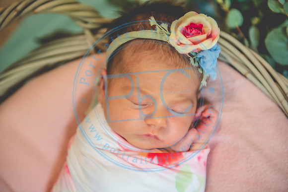 Rachel - Newborn_070521_0444