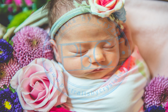 Rachel - Newborn_070521_0462