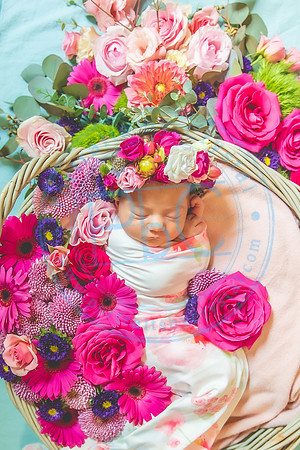 Rachel - Newborn_070521_0486E