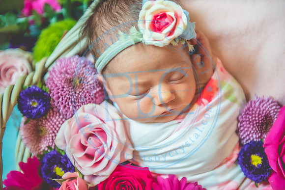 Rachel - Newborn_070521_0482