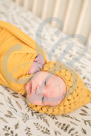 Maverick - Newborn_012122_0250