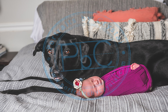 Elena - Newborn_071221_0042