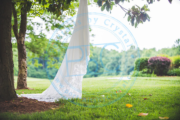 Bailey Wedding - Slideslow062621.008