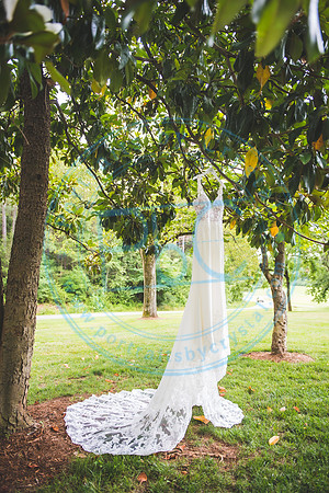 Bailey Wedding - Slideslow062621.009