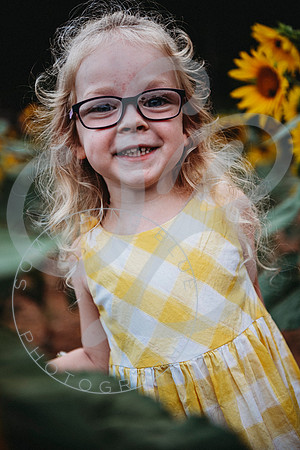 Sunflower Minis - Sherri_071422_0145