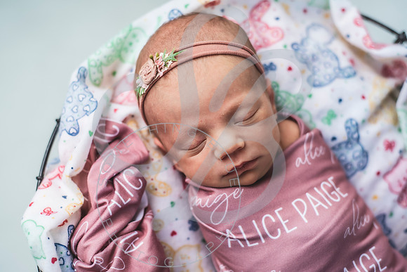 Alice - Newborn_030822_0156