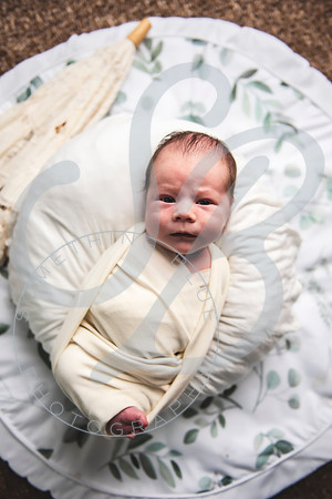 Alexander - Newborn_052522_0233