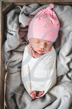Alice - Newborn_030822_0208