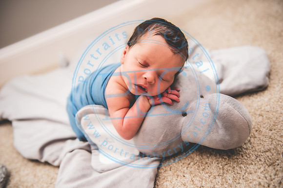 CJ - Newborn_082921_0183